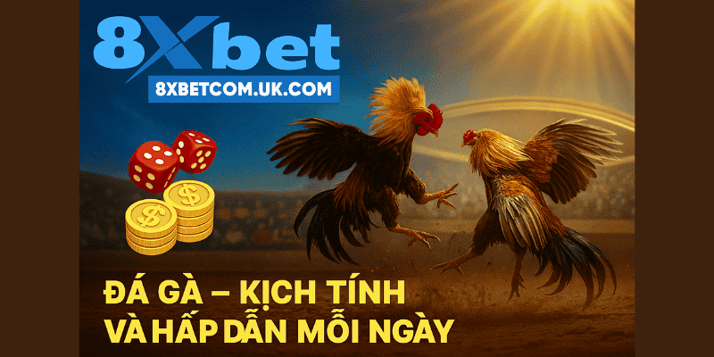 Đá Gà – Kịch Tính Và Hấp Dẫn Mỗi Ngày