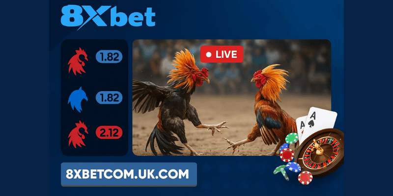 đá gà livestream theo dõi trực tuyến như xem trực tiếp tại 8xbet